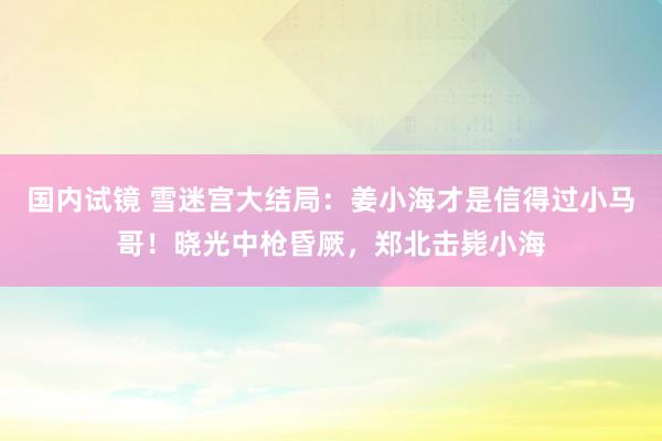 国内试镜 雪迷宫大结局：姜小海才是信得过小马哥！晓光中枪昏厥，郑北击毙小海