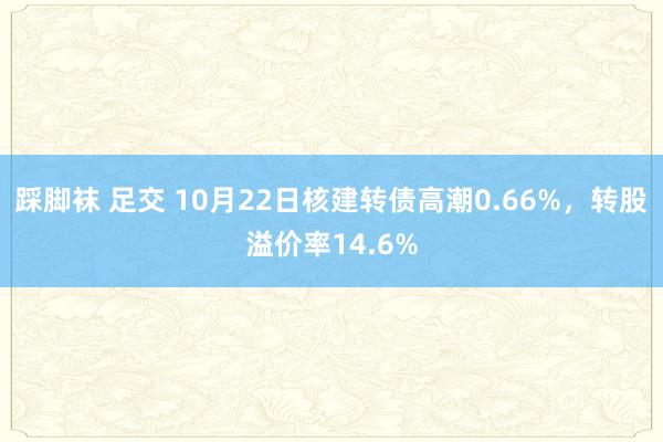 踩脚袜 足交 10月22日核建转债高潮0.66%，转股溢价率14.6%