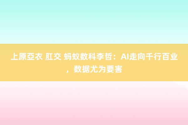 上原亞衣 肛交 蚂蚁数科李哲：AI走向千行百业，数据尤为要害