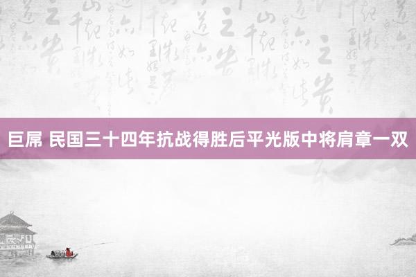 巨屌 民国三十四年抗战得胜后平光版中将肩章一双