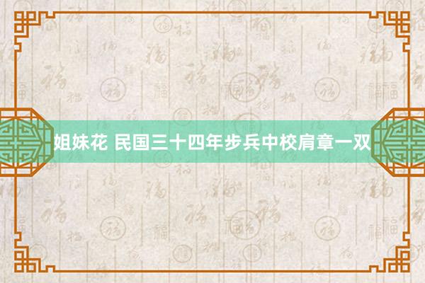 姐妹花 民国三十四年步兵中校肩章一双