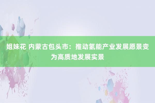 姐妹花 内蒙古包头市：推动氢能产业发展愿景变为高质地发展实景