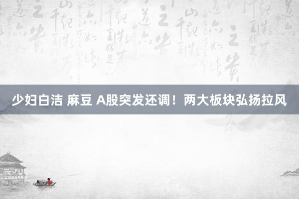 少妇白洁 麻豆 A股突发还调！两大板块弘扬拉风