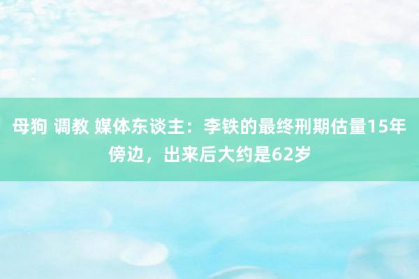 母狗 调教 媒体东谈主：李铁的最终刑期估量15年傍边，出来后大约是62岁