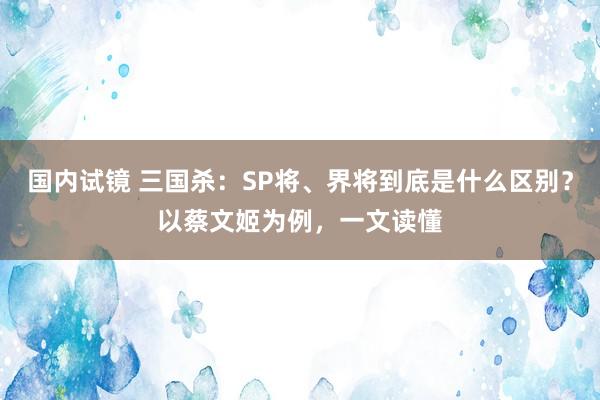 国内试镜 三国杀：SP将、界将到底是什么区别？以蔡文姬为例，一文读懂