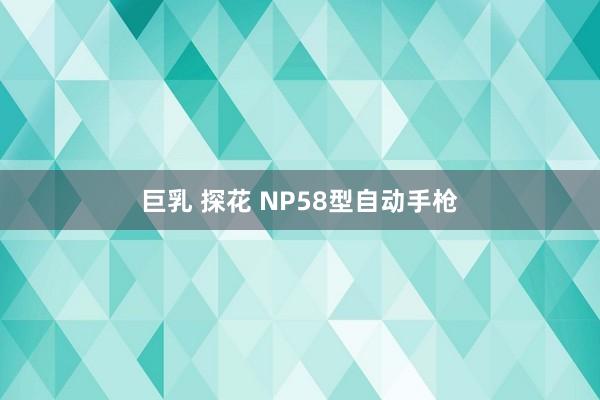 巨乳 探花 NP58型自动手枪