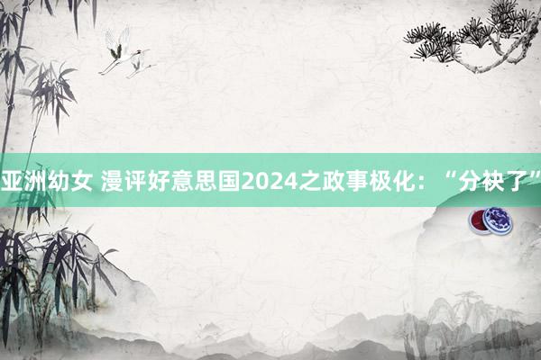 亚洲幼女 漫评好意思国2024之政事极化：“分袂了”