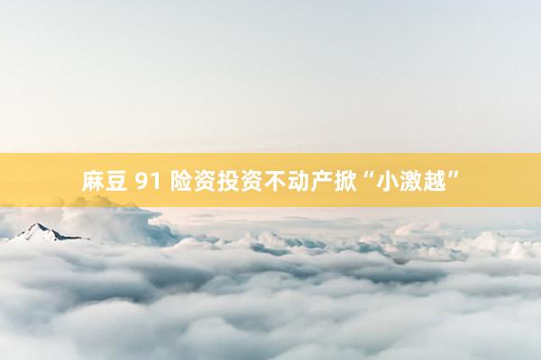 麻豆 91 险资投资不动产掀“小激越”