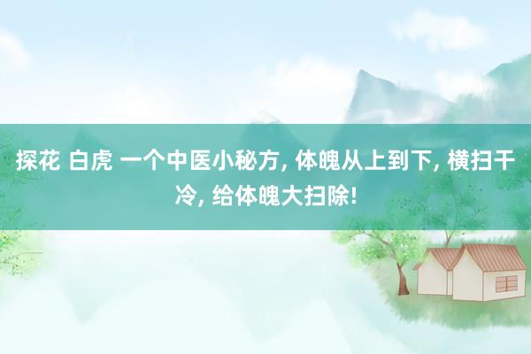 探花 白虎 一个中医小秘方, 体魄从上到下, 横扫干冷, 给体魄大扫除!