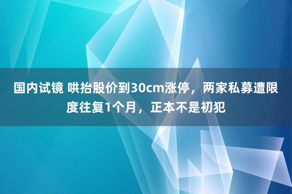 国内试镜 哄抬股价到30cm涨停，两家私募遭限度往复1个月，正本不是初犯