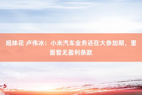 姐妹花 卢伟冰：小米汽车业务还在大参加期，里面暂无盈利条款