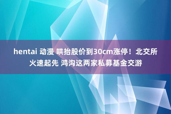 hentai 动漫 哄抬股价到30cm涨停！北交所火速起先 鸿沟这两家私募基金交游