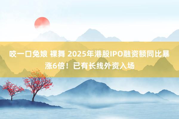 咬一口兔娘 裸舞 2025年港股IPO融资额同比暴涨6倍！已有长线外资入场