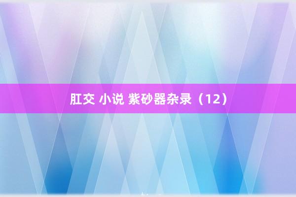肛交 小说 紫砂器杂录（12）
