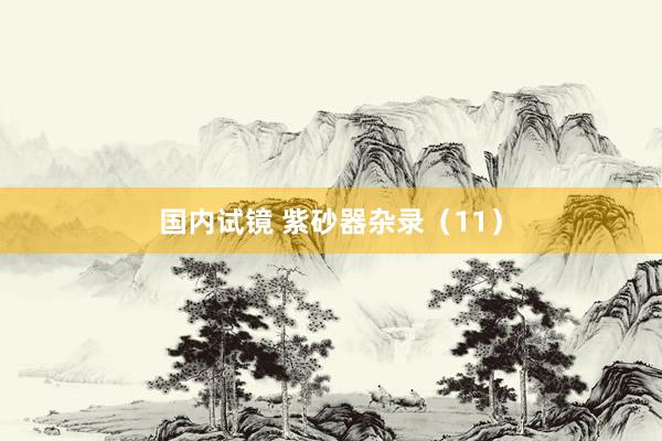 国内试镜 紫砂器杂录（11）