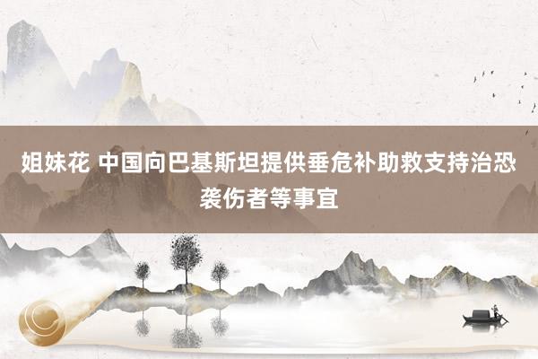 姐妹花 中国向巴基斯坦提供垂危补助救支持治恐袭伤者等事宜