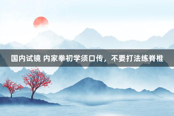 国内试镜 内家拳初学须口传，不要打法练脊椎