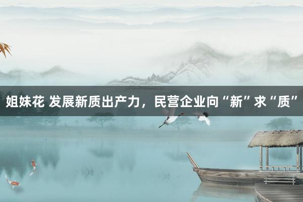 姐妹花 发展新质出产力，民营企业向“新”求“质”