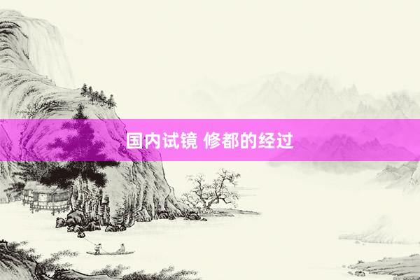 国内试镜 修都的经过