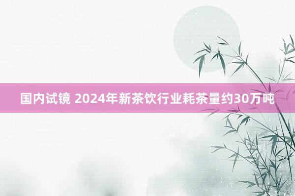 国内试镜 2024年新茶饮行业耗茶量约30万吨