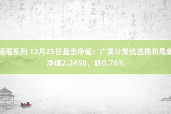 瑶瑶系列 12月25日基金净值：广发计策优选搀和最新净值2.2458，跌0.76%