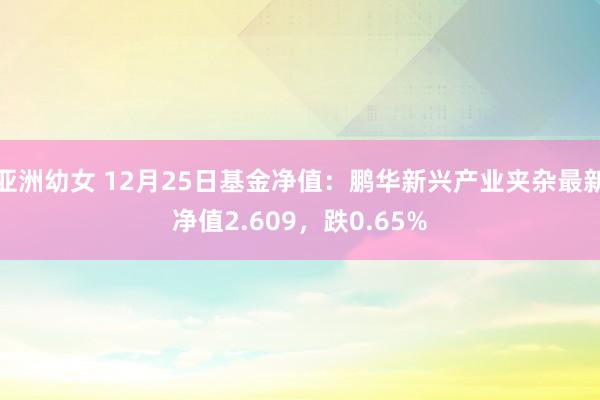亚洲幼女 12月25日基金净值：鹏华新兴产业夹杂最新净值2.609，跌0.65%