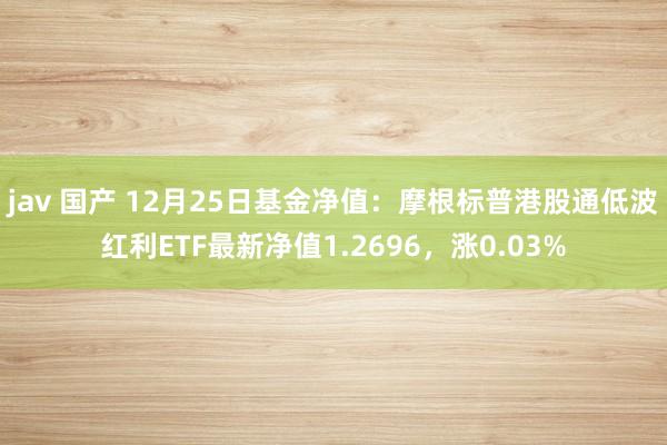 jav 国产 12月25日基金净值：摩根标普港股通低波红利ETF最新净值1.2696，涨0.03%