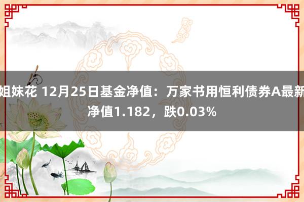 姐妹花 12月25日基金净值：万家书用恒利债券A最新净值1.182，跌0.03%