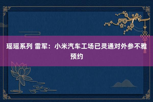 瑶瑶系列 雷军：小米汽车工场已灵通对外参不雅预约