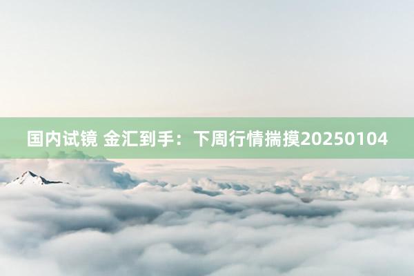 国内试镜 金汇到手：下周行情揣摸20250104