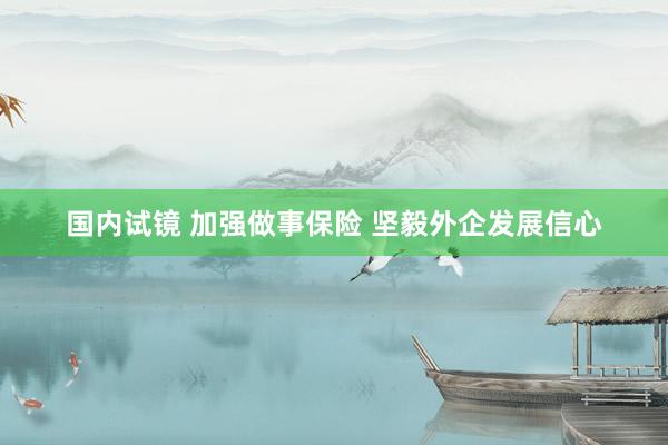 国内试镜 加强做事保险 坚毅外企发展信心