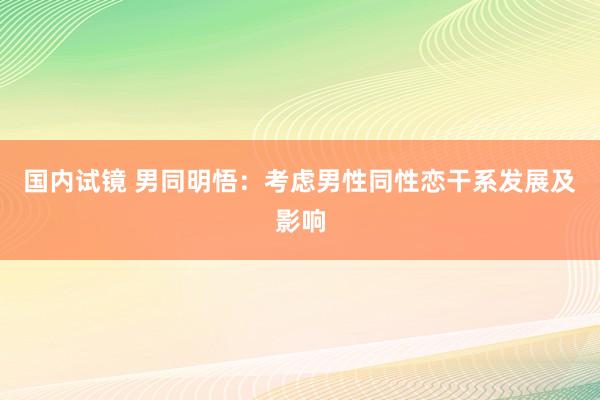 国内试镜 男同明悟：考虑男性同性恋干系发展及影响