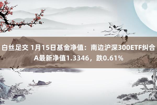 白丝足交 1月15日基金净值：南边沪深300ETF纠合A最新净值1.3346，跌0.61%