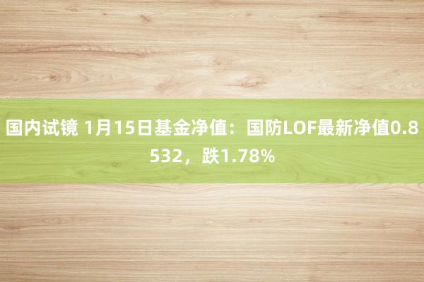 国内试镜 1月15日基金净值：国防LOF最新净值0.8532，跌1.78%