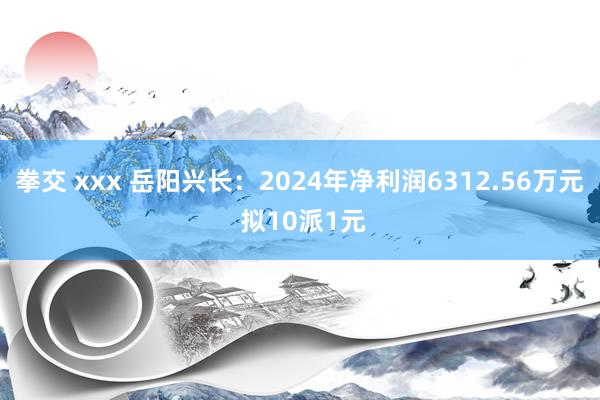 拳交 xxx 岳阳兴长：2024年净利润6312.56万元 拟10派1元