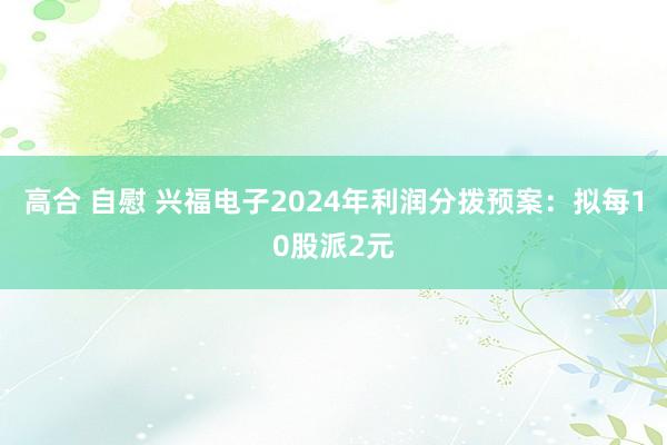 高合 自慰 兴福电子2024年利润分拨预案：拟每10股派2元