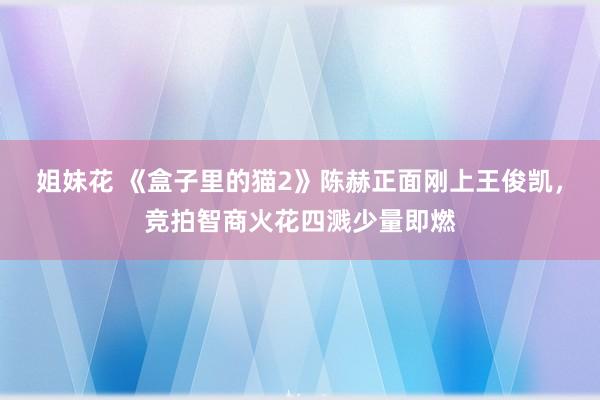 姐妹花 《盒子里的猫2》陈赫正面刚上王俊凯，竞拍智商火花四溅少量即燃