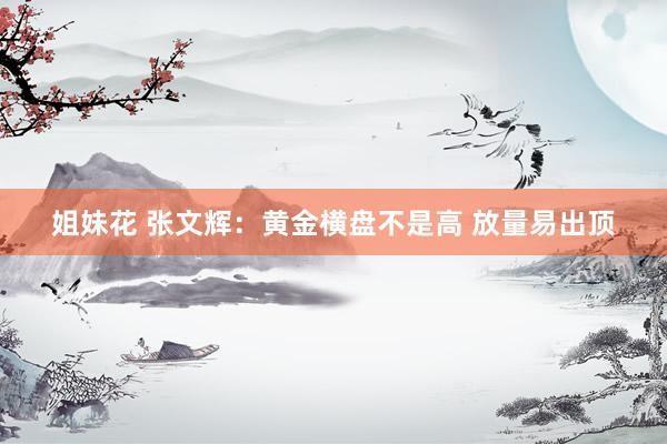 姐妹花 张文辉：黄金横盘不是高 放量易出顶