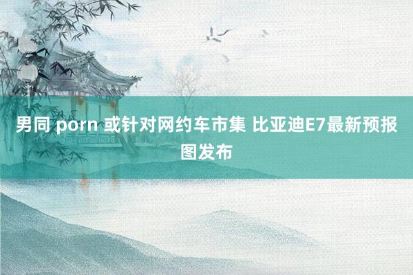男同 porn 或针对网约车市集 比亚迪E7最新预报图发布