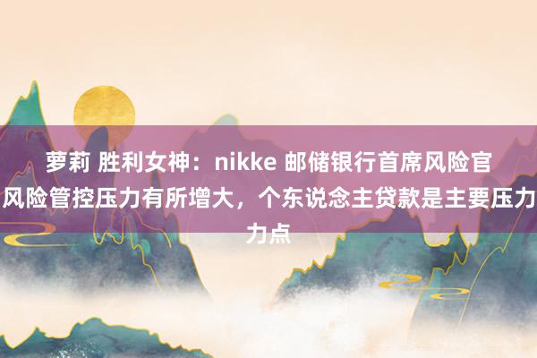 萝莉 胜利女神：nikke 邮储银行首席风险官：风险管控压力有所增大，个东说念主贷款是主要压力点