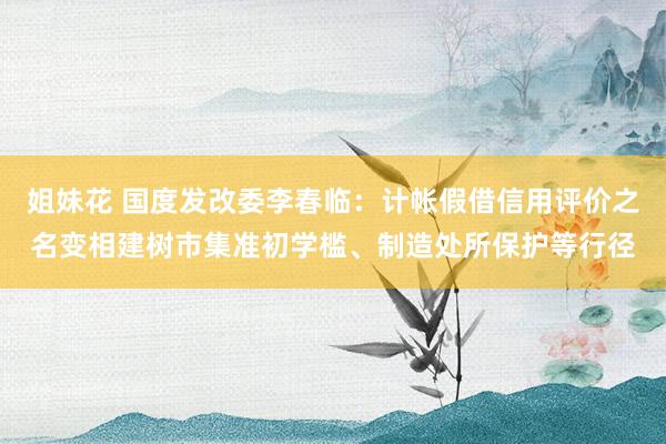 姐妹花 国度发改委李春临：计帐假借信用评价之名变相建树市集准初学槛、制造处所保护等行径