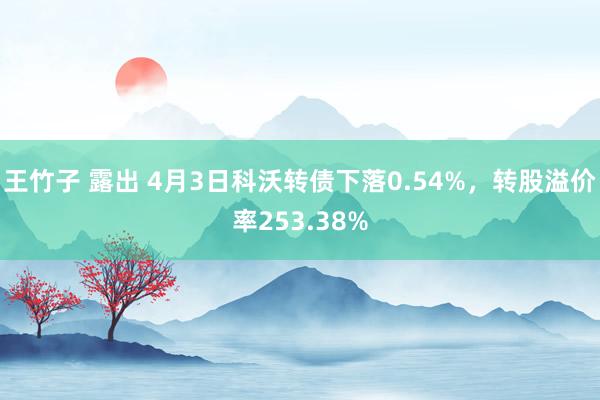 王竹子 露出 4月3日科沃转债下落0.54%，转股溢价率253.38%