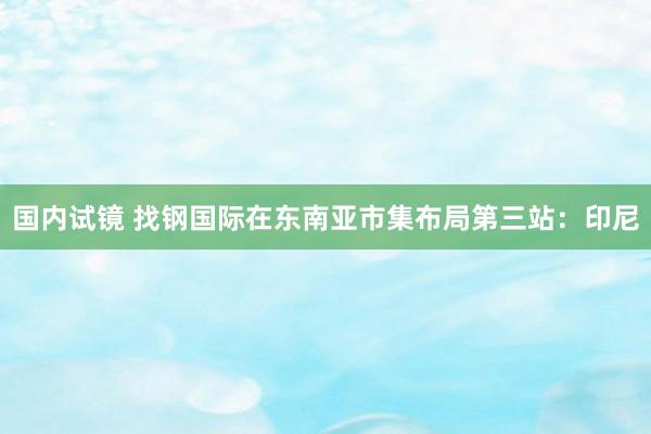 国内试镜 找钢国际在东南亚市集布局第三站：印尼
