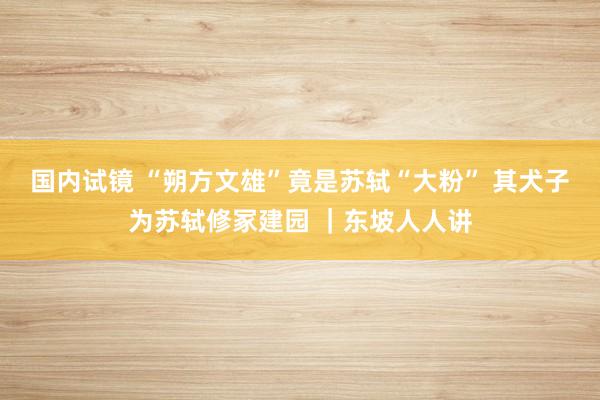 国内试镜 “朔方文雄”竟是苏轼“大粉” 其犬子为苏轼修冢建园 ｜东坡人人讲