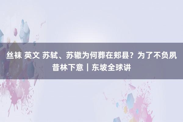 丝袜 英文 苏轼、苏辙为何葬在郏县？为了不负夙昔林下意｜东坡全球讲
