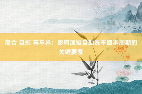 高合 自慰 喜车界：影响加盟自助洗车回本周期的关键要素