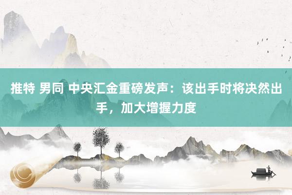 推特 男同 中央汇金重磅发声：该出手时将决然出手，加大增握力度