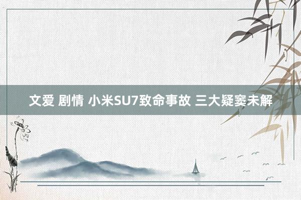 文爱 剧情 小米SU7致命事故 三大疑窦未解