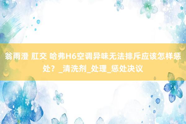 翁雨澄 肛交 哈弗H6空调异味无法排斥应该怎样惩处？_清洗剂_处理_惩处决议
