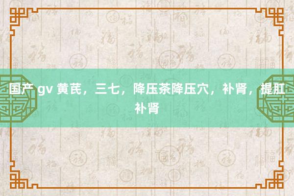 国产 gv 黄芪，三七，降压茶降压穴，补肾，提肛补肾